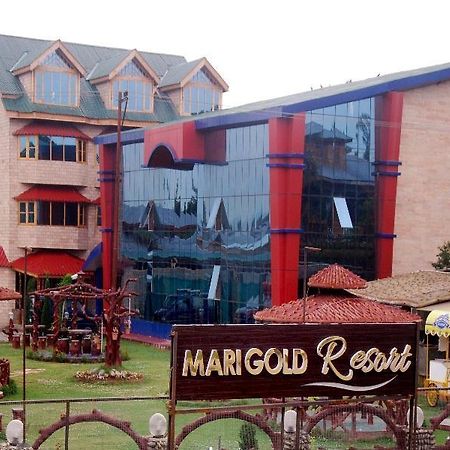 Marigold Resort Gulmarg Dış mekan fotoğraf